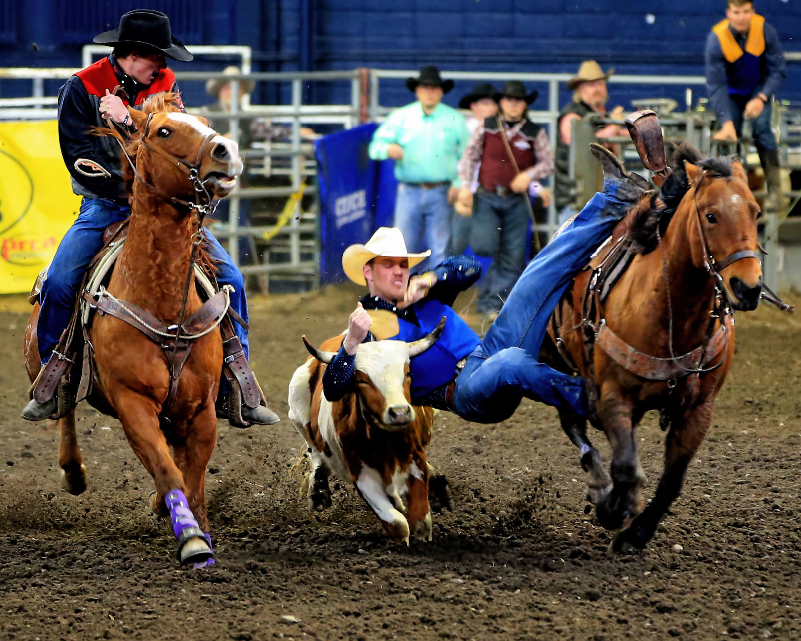 MSU Rodeo - Montana State's Powell